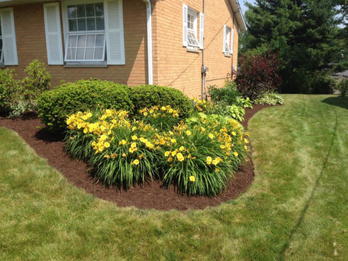 Shelby Landscaping